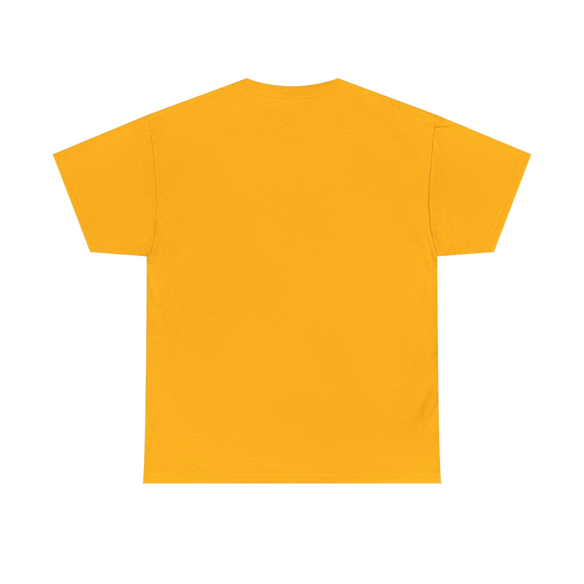 Kingston Vintage Map Unisex Tee